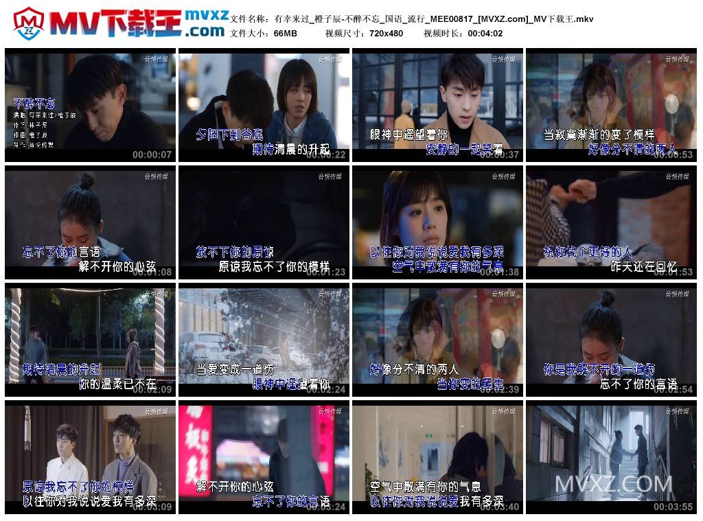 有幸来过_橙子辰-不醉不忘_国语_流行_MEE00817